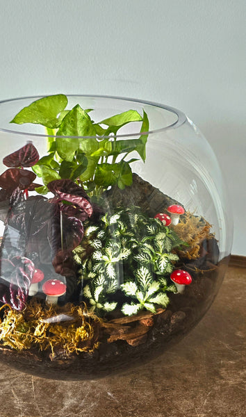 Terrariums in a Glass fish Bowl