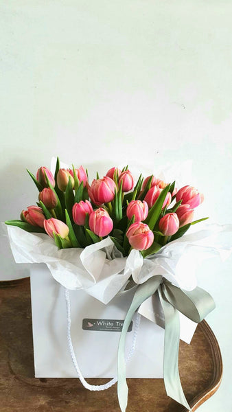 fresh tulip posy